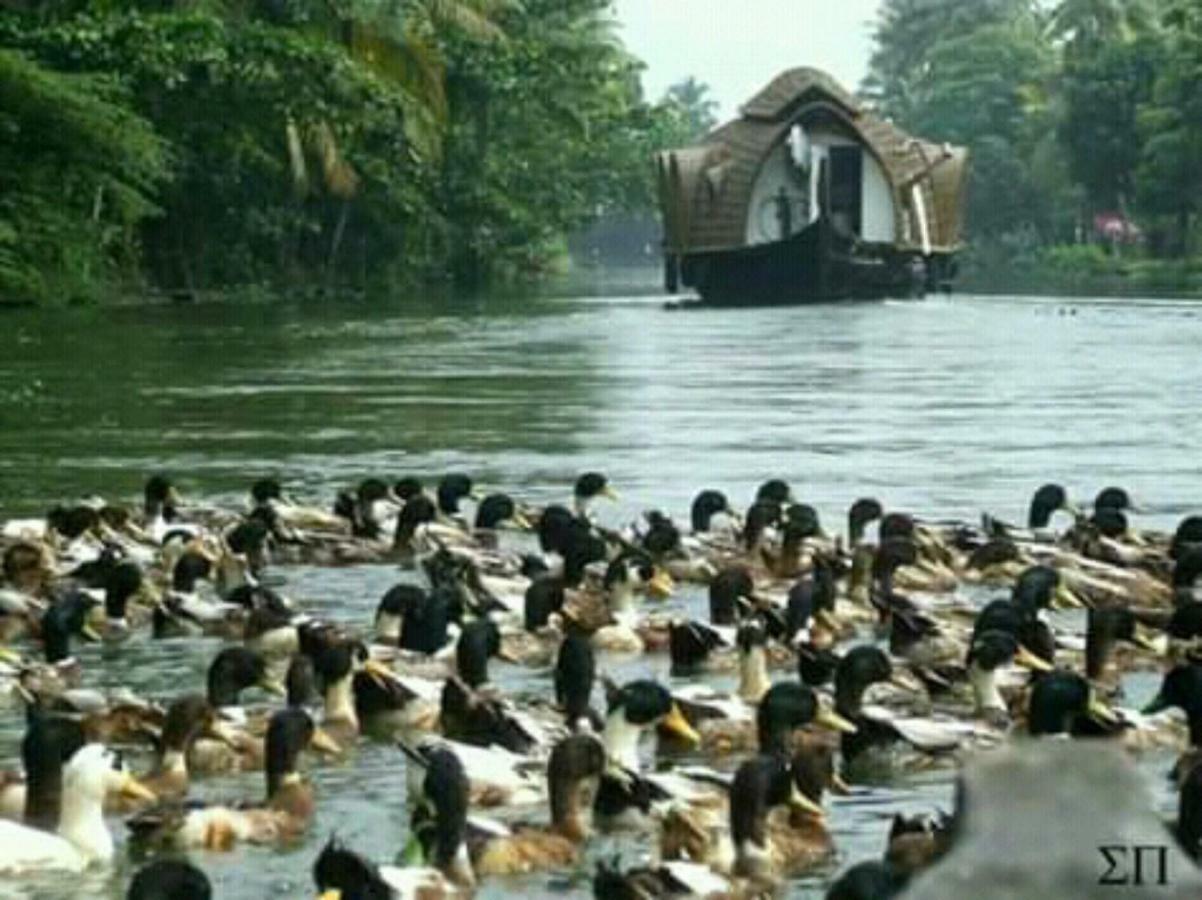 Rajatheeram Beach Homestay & Backwater Cruise Alleppey Alappuzha 외부 사진